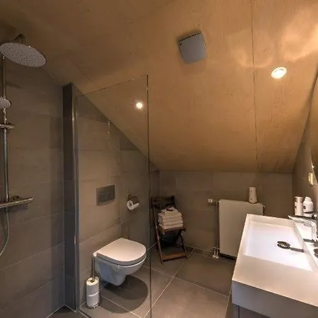 فندق مبيت وإفطار De Wandhorst 4*